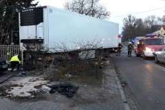 Wjechał ciężarówką w ogród 3