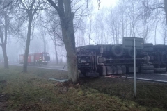 Wypadek TIR Kurczaki DK19